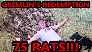 Gremlins Redemption 75 RATS [upl. by Enelcaj]