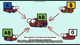 Biology with SPANISH through AMOEBA SISTERS  Multiple Alleles ABO Blood Types and Punnett Squares [upl. by Mochun]