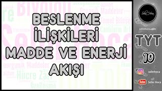 16 Beslenme İlişkileri  Madde ve Enerji Akışı [upl. by Artenak387]