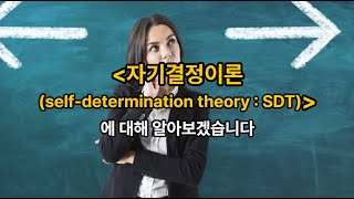 김유미 노무사 경조 자기결정이론selfdetermination theory  SDT [upl. by Olenta649]