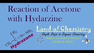 Reaction of Acetone with Hydrazine Acetone HydrazoneCarbony Compounds Organic ChemsitryClass12 [upl. by Yorled]