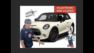 Valvetronic Mini cooper Bmw [upl. by Durrell]