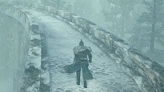 Dark Souls 2  Frozen Eleum Loyce Inner Wall  Eleum Loyce Knight  LOCATION [upl. by Erised745]