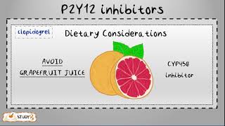 P2Y12 Receptor inhibitors [upl. by Oileve361]