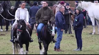 How to ride a Pony at Ballinasloe Horse Fair [upl. by Rossen]