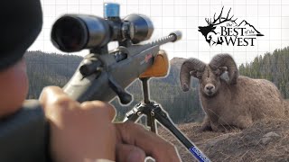 ROCKY MOUNTAIN BIGHORN HUNT 300 PRC [upl. by Tormoria]