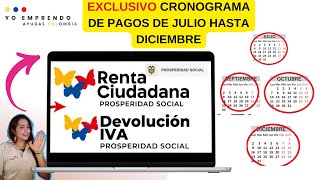 🟢Calendario de Pagos Julio a Diciembre Acumulados Devolución IVA y Renta Ciudadana VER Yo Emprendo [upl. by Aisat]