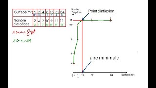 Analyse et interprétation de la courbe du nombre despèces en fonction de la surface [upl. by Arabella]