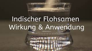 Indische Flohsamenschalen Wirkung und Anwendung [upl. by Rhiamon]