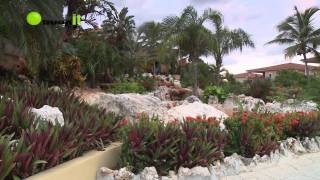 Maya Riviera Ocean Maya Royale All Inclusive  Guest Reviews [upl. by Zetes181]