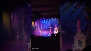 WORLD FAMOUS ALCAZAR SHOW PATTAYA ytshorts music flute thailand alcazar [upl. by Cornish]