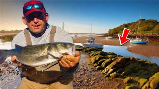 10 Ways To Find Bass At Low Tide [upl. by Htebzile303]