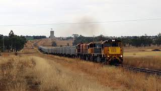 Aurizon Quilpie Cattle Train [upl. by Haymo]