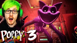 Poppy Playtime Chapter 3 is INSANE Full Game [upl. by Cleres]