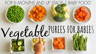 8 VEGETABLE PUREE for babies 6 months and up [upl. by Ssepmet271]