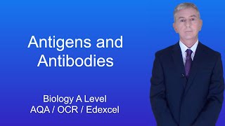 A Level Biology Revision quotAntigens and Antibodiesquot [upl. by Ynoffit]