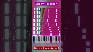 Cypis  Suchy karaluch 🎹 Piano Tutorial 🔥 Nuty shorts [upl. by Ahsieni]