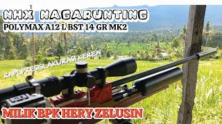 NHX NAGARUNTING POLYMAX A12 L BST 14 GR MK2 970 FPS MILIK BPK HERY ZELUSIN SANGAT MANTAP [upl. by Hsakiv]