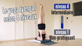 Le yoga Iyengar expliqué en 4 niveaux [upl. by Karine]