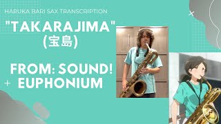 Sound Euphonium Bari Sax Solo Transcription [upl. by Annelise965]