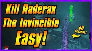 HOW TO Kill Haderax The Invincible  Borderlands 2 Tutorial [upl. by Ojeillib]