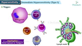 Hypersensitivity Type I reaction Immediate or allergic reaction  Pathology Lecture [upl. by Latterll207]