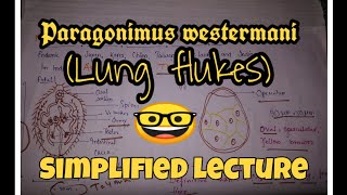 Paragonimus westermani  Lung fluke  Hindi  Parasitology  Microbiology [upl. by Cherise]