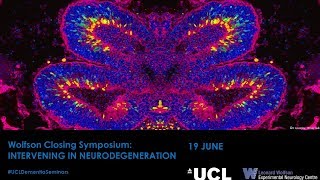 Wolfson Closing Symposium Intervening in Neurodegeneration [upl. by Amalle]