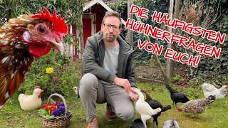 Die häufigsten Fragen zu den Hühnern und zur Hühnerhaltung  Wunschthemen für HAPPY HUHN [upl. by Noy]