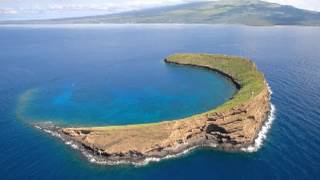 Molokini Crater Roger Roth White Tip Sharks [upl. by Kalila]