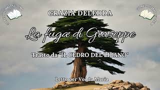 GRAZIA DELEDDA La fuga di Giuseppe da IL CEDRO DEL LIBANO [upl. by Brod704]