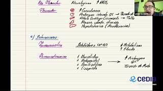 Farmacología Grupo 1  Quinolonas [upl. by Rosita637]