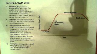 Bacteria Growth curve [upl. by Aihppa]