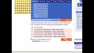 Check Your Lottery Ticket Online [upl. by Neiman660]