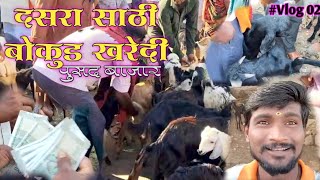 vlog 02  Buy Goat  Bokud Kharedi Pusad Bazar  बोकुड खरेदी पुसद बाजार  Dasara Shoping  नवरात्री [upl. by Ailaro]