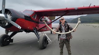 4 Days Solo Camping on Island Full of Whale Bones amp Grizzly Bears [upl. by Llertniuq]