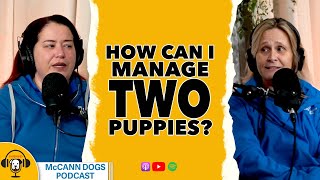 Double The Dogs MORE Than Double The Work  McCann Dogs Podcast Clips [upl. by Llatsyrk]