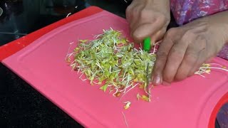 Healthy Microgreen Dish  Sprouted Green Gram Recipe [upl. by Robinetta810]