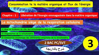 la mitochondrie siège de la respiration cellulaire 2bac pcSVT شرح بالداريجة partie 3 [upl. by Hillegass]