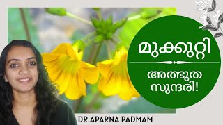 Mukkutti  Ayurvedic Medicinal Plant  മുക്കുറ്റിയുടെ ഗുണങ്ങള്‍ അറിയാം [upl. by Oreves978]