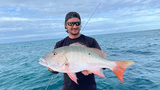 Patch reef fishing is HOT Mutton Snapper Spaghetti Catch amp Cook [upl. by Aeet]