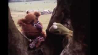 Muppet Movie 1979 camera test The banter is so hilariously improvised [upl. by Atsyrt681]