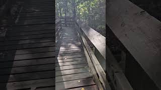 BearTown State Park West Virginia Boardwalk WV [upl. by Rolyab]