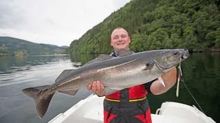 Angeln in Norwegen Dalsfjord Hexenkessel SeelachsDorsch Pollack und Co in Westnorwegen [upl. by Aldwin]