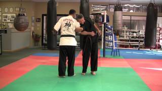 Hapkido Disarm Gunman  Combat Self Defense [upl. by Annaira]