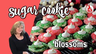 Sugar Cookie Blossoms [upl. by Ilysa]