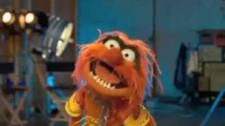 Animal  The Muppets  quotMahna Mahnaquot [upl. by Saile]