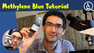 🔬 How to stain cells with Methylene Blue  Amateur Microscopy [upl. by Erasmo]