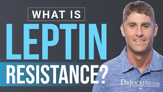 Leptin Resistance Causes Symptoms amp Support Strategies [upl. by Bowler]