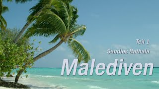 Malediven Teil 1 Sandies Bathala Maledives  Urlaub 2021 im Taucherparadies [upl. by Ronoc567]